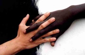 Racisme...