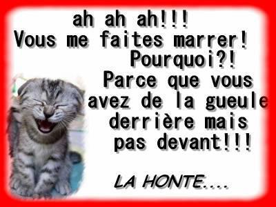 La honte...