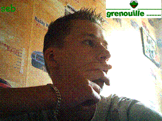 Grenouille