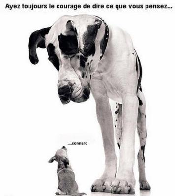 Le courage...